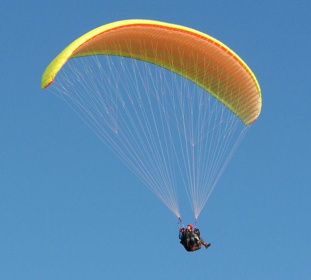 Pictures Of Paragliding